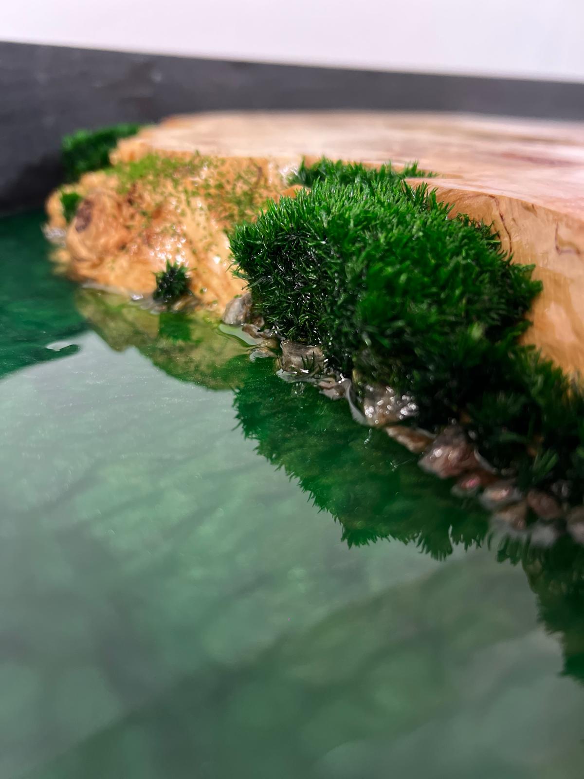 Masă de cafea din lemn masiv de plop burl și rășină epoxidică Danube Delta
