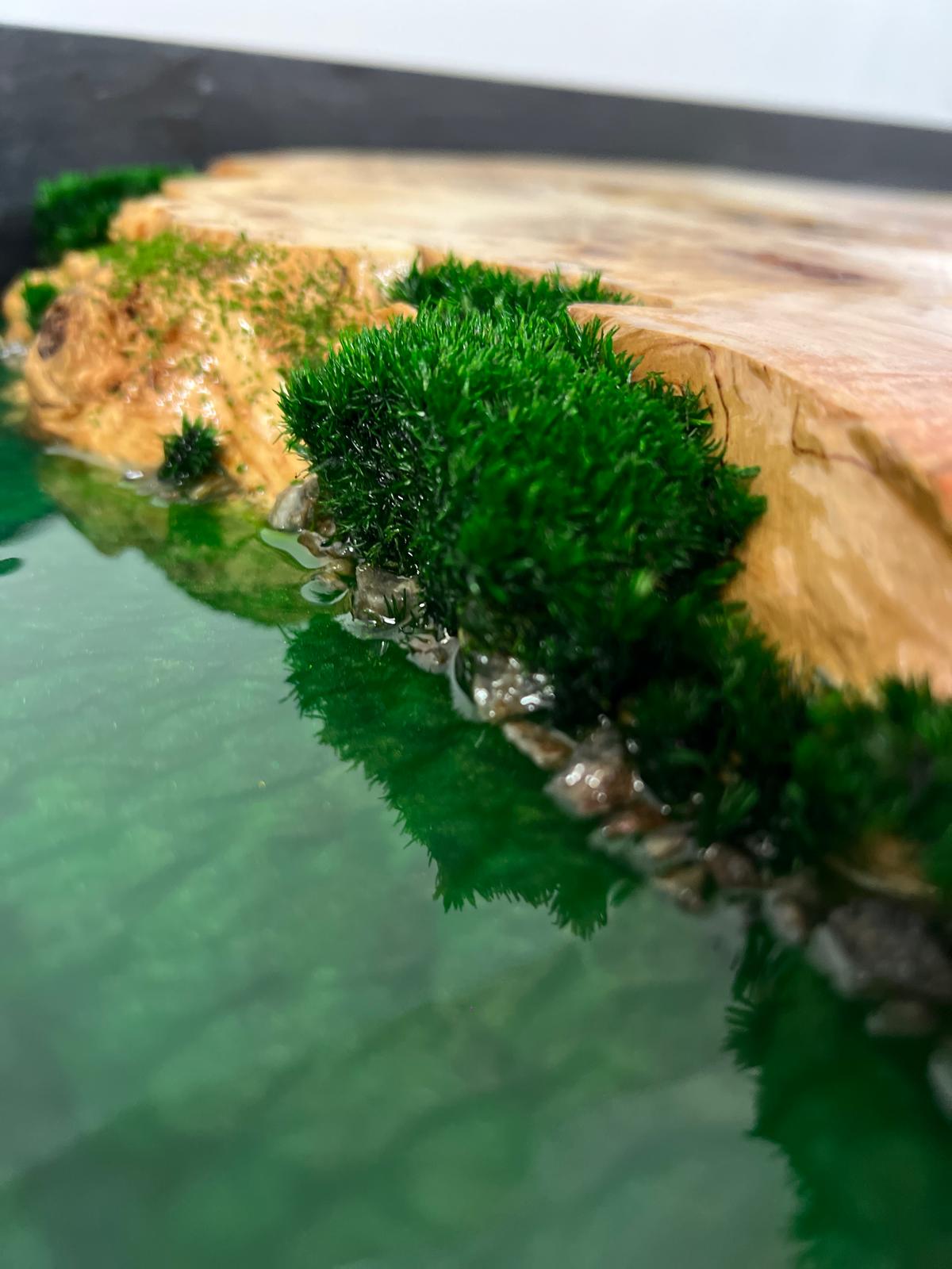 Masă de cafea din lemn masiv de plop burl și rășină epoxidică Danube Delta
